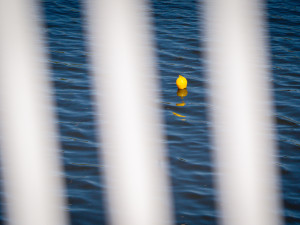 FOTO: Pilíř mezi domy, zátiší s kostelem. Prohlédněte si Dvorecký most očima architekta