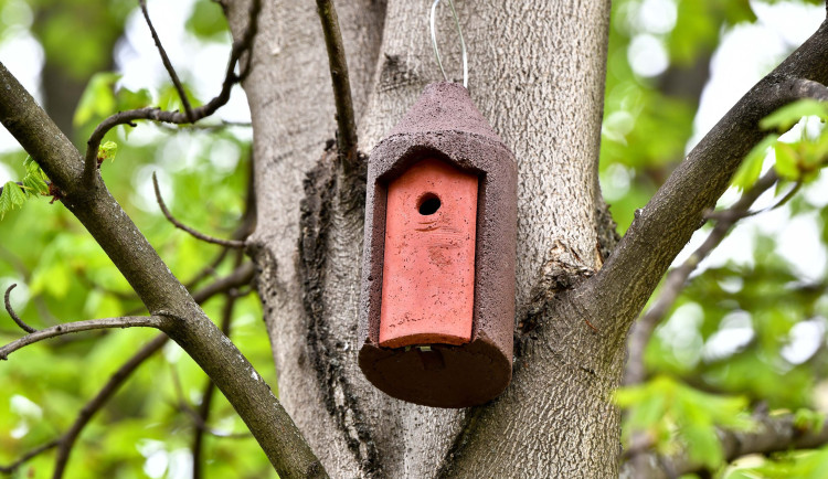 Praha 1 instalovala do parků desítky ptačích budek. Chce podpořit hnízdění ptáků