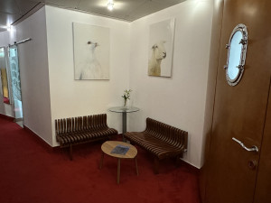 FOTO, VIDEO: Výstava připomíná 30 let Tančícího domu. Ukáže nové fotky i obří model