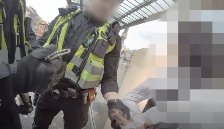 Žena skončila v poutech