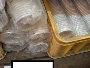 Hygienici kontrolovali stánky na Matějské, rozdali tři pokuty