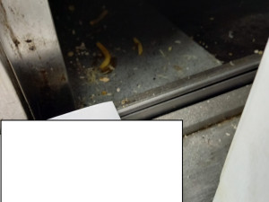 Hygienici kontrolovali stánky na Matějské, rozdali tři pokuty