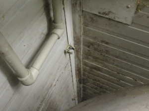 Myší bobky, plíseň, špína. Kuchyň Kolkovny na Malé Straně na místě zavřeli