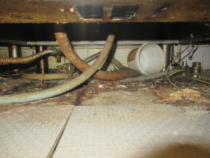 Myší bobky, plíseň, špína. Kuchyň Kolkovny na Malé Straně na místě zavřeli