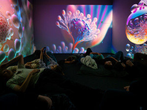 FOTO: Signal Space rozšířil výstavu, připomíná historii slavného audiovizuálního festivalu