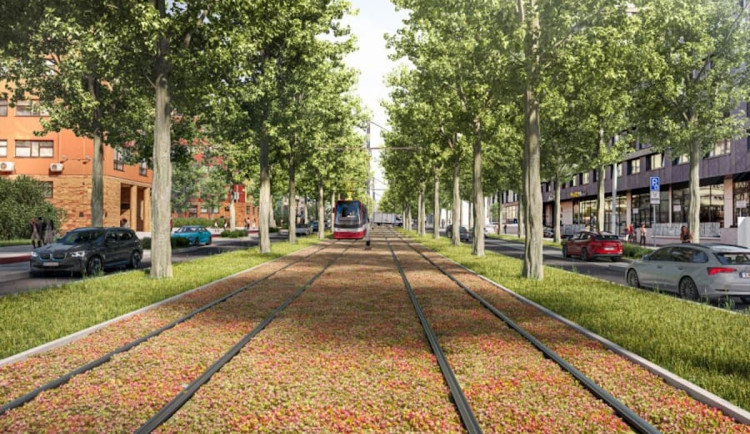 Brutální napadení a loupež. Pražští kriminalisté dopadli útočníka z Olšanské ulice
