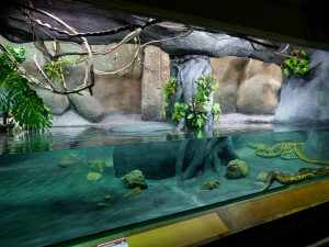 Zoo Praha