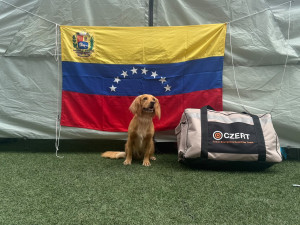 Velké horko a malá šance na záchranu. Psovod městské policie popsal zásah ve Venezuele