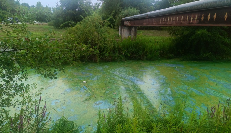 Hasiči řešili podivnou látku v Rokytce. Mohl za ni drzý majitel obytňáku