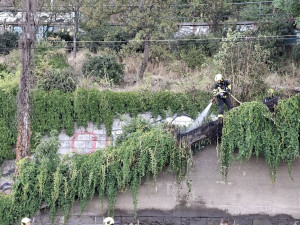 V Letenských sadech začalo hořet, tramvaje jezdí kvůli zásahu odklonem