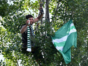 Fanoušci Bohemky vzali útokem balkony, štafle i strom