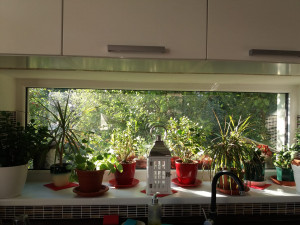 FOTOGALERIE: Jaký výhled z okna mají Pražané? Odpadky, parkoviště i krásné západy slunce