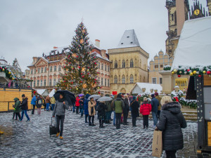 První sníh letošní zimy v Praze