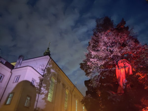 Signal festival rozzářil hlavní město