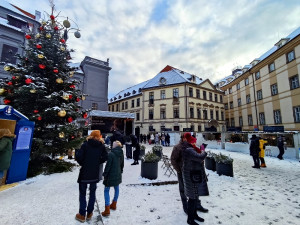 FOTOGALERIE: Skauti přinesli Betlémské světlo. Na magistrátu bude až do ledna