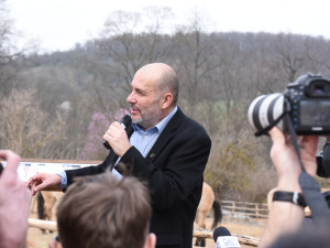 FOTOGALERIE: Nová expozice Gobi v Pražské zoo, aneb návrat "převaláků"