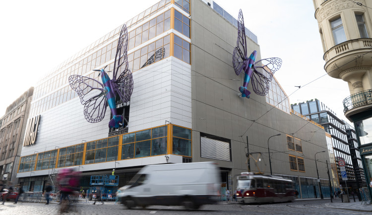 FOTOGALERIE: Obchodní dům Máj už zdobí oba Černého motýli. Povolení dostali na rok
