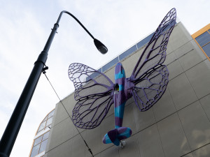 FOTOGALERIE: Obchodní dům Máj už zdobí oba Černého motýli. Povolení dostali na rok