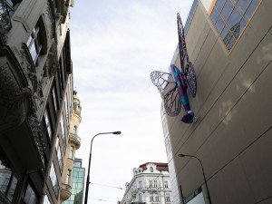 FOTOGALERIE: Obchodní dům Máj už zdobí oba Černého motýli. Povolení dostali na rok