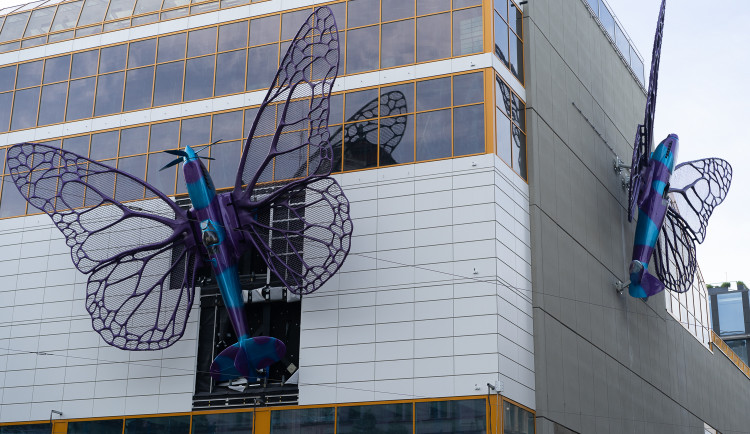 FOTOGALERIE: Obchodní dům Máj už zdobí oba Černého motýli. Povolení dostali na rok