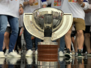 VIDEO: Kdo neskáče není Čech! Tisíce fanoušků slaví s českými hokejisty zlatou medaili