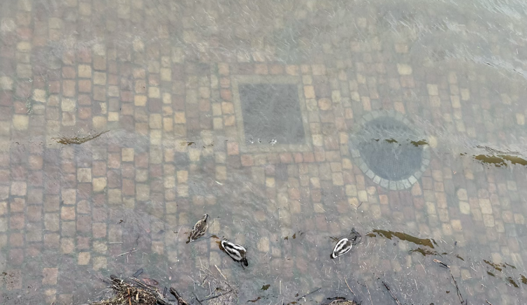 FOTOGALERIE: Prchající lodě, voda až u kobek a neposlušní lidé. Podívejte se, jak to v sobotu vypadalo na pražských náplavkách
