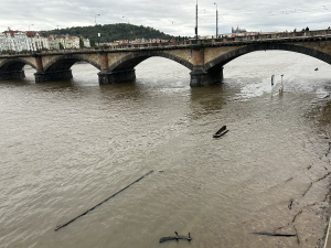 FOTOGALERIE: Prchající lodě, voda až u kobek a neposlušní lidé. Podívejte se, jak to v sobotu vypadalo na pražských náplavkách
