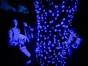 FOTOGALERIE: Gorily, nosorožci i sloni mimo výběh. Pražská zoo zve na lampionová zářící zvířata