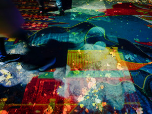 FOTOGALERIE: Gorily, nosorožci i sloni mimo výběh. Pražská zoo zve na lampionová zářící zvířata