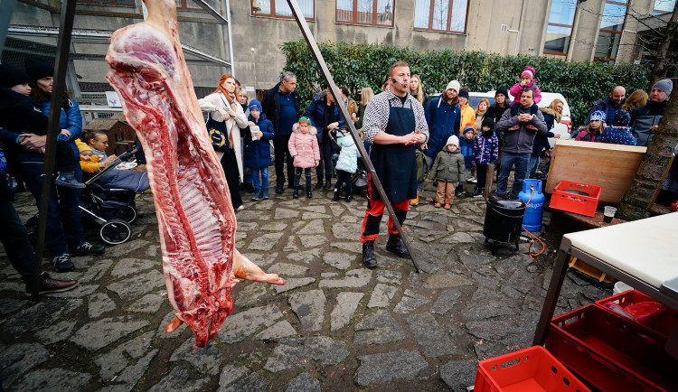 FOTOGALERIE: Masopust na Letné přilákal hlavně rodiny s dětmi. Na programu byla zabijačka i průvod masek