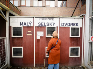 Masopust na Letné přilákal hlavně rodiny s dětmi. Na programu byla zabijačka i průvod masek