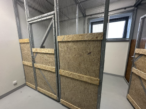 FOTOGALERIE: Jezírko pro vydry, voliéra pro veverky. Podívejte se, jak to vypadá v nové záchranné stanici