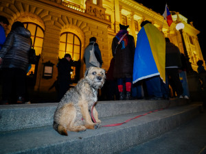FOTOGALERIE: Čeho se bojíte? Lidé vyzvali vedení Národního muzea k vrácení ukrajinské vlajky