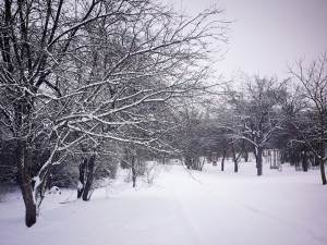 FOTOGALERIE: Zasněžená Praha