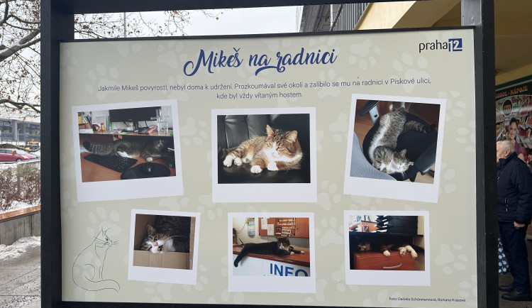 FOTOGALERIE: Socha kocoura Mikeše na Sofijském náměstí