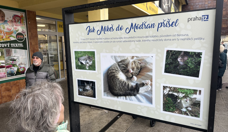 FOTOGALERIE: Socha kocoura Mikeše na Sofijském náměstí