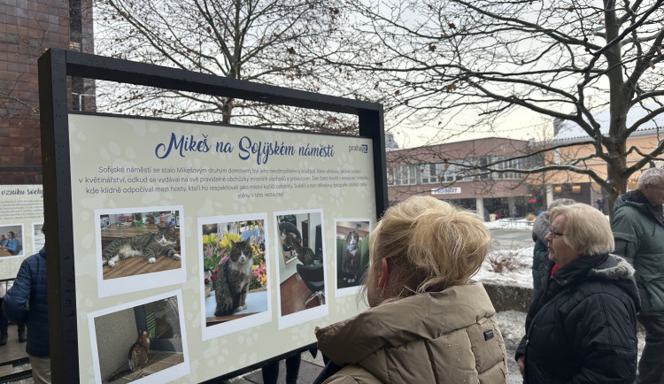 FOTOGALERIE: Socha kocoura Mikeše na Sofijském náměstí