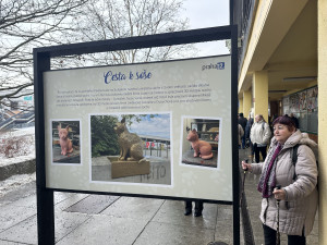 FOTOGALERIE: Socha kocoura Mikeše na Sofijském náměstí