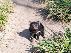 FOTOGALERIE: Zvířata pražské zoo si užívají slunečného počasí