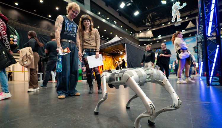 FOTOGALERIE: Lákaly herecké hvězdy i nevšední záliby, na Comic-con dorazily tisíce nerdů