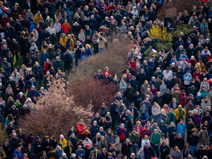 FOTOGALERIE: Podívejte se, jak probíhala demonstrace na Letné