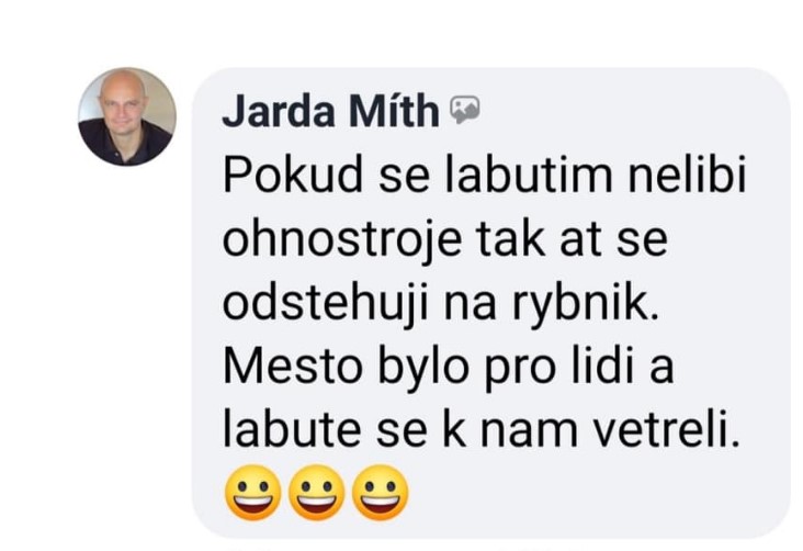 psaní mužského profilu