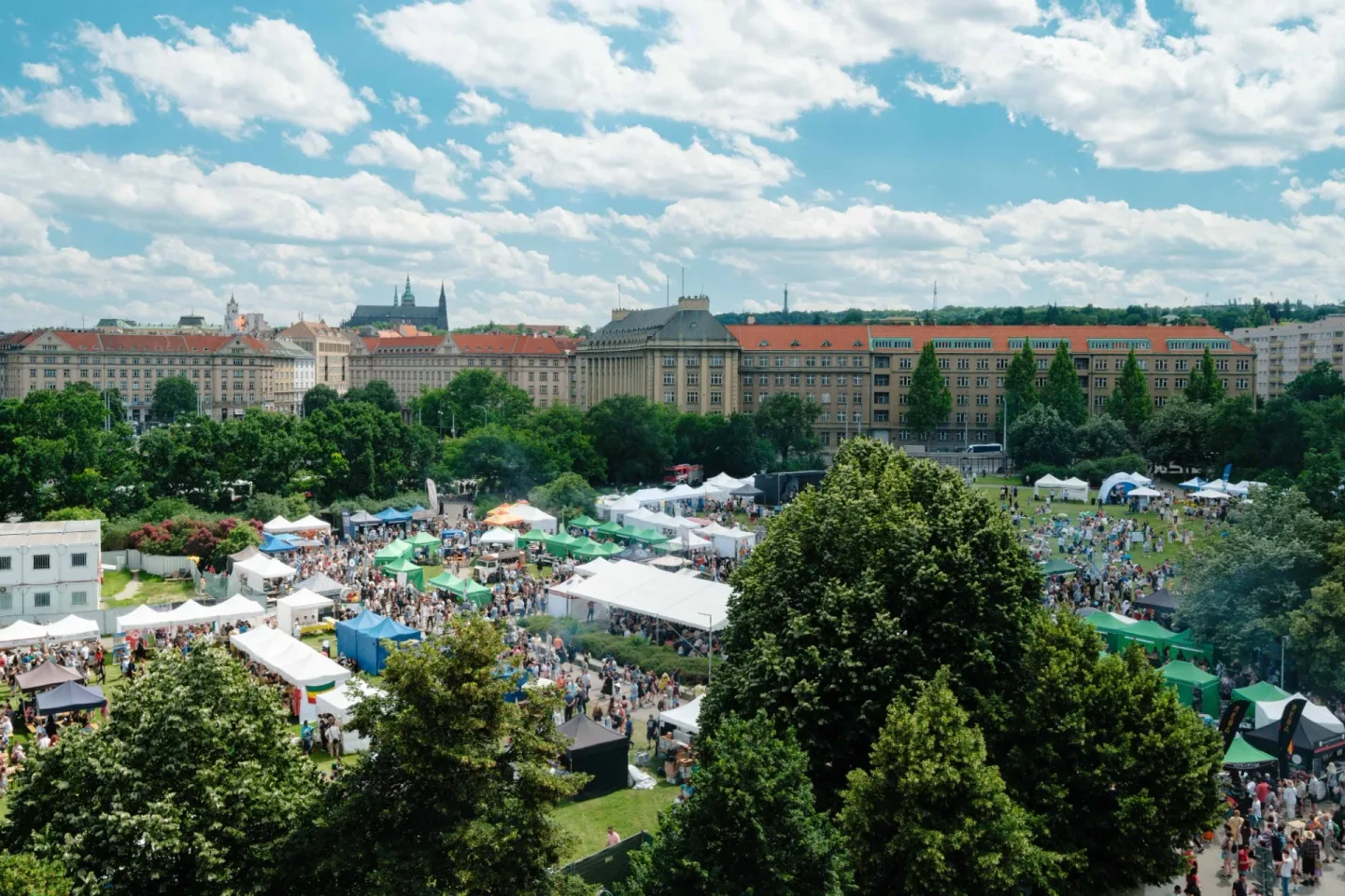 Festival ambasád