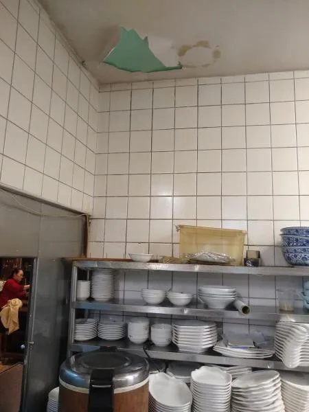Praha, inspekce, SZPI, Restaurant Peking,