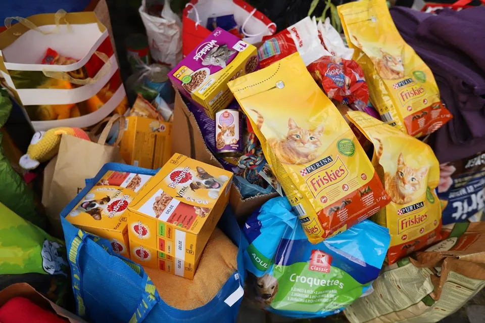 Vánoce v trojském útulku. Pražané přinesli 10 tun krmení a zhruba 800 kilo dek.