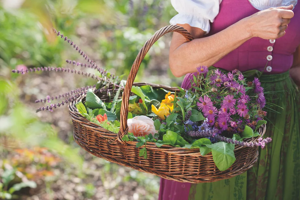 Neměli peníze na chemická hnojiva, vytvořili něco unikátního: kosmetiku se smetanou, ghí máslem, šafránem a biodynamickým vínem