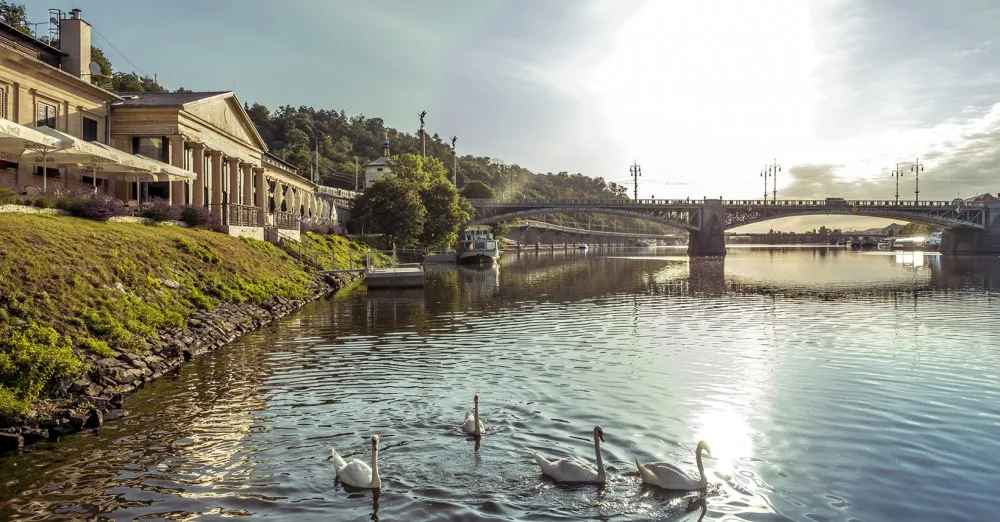 V sobotu startují nové Trhy na Plovárně. Nabídnou grilované ryby i vyjížďku parníkem zdarma