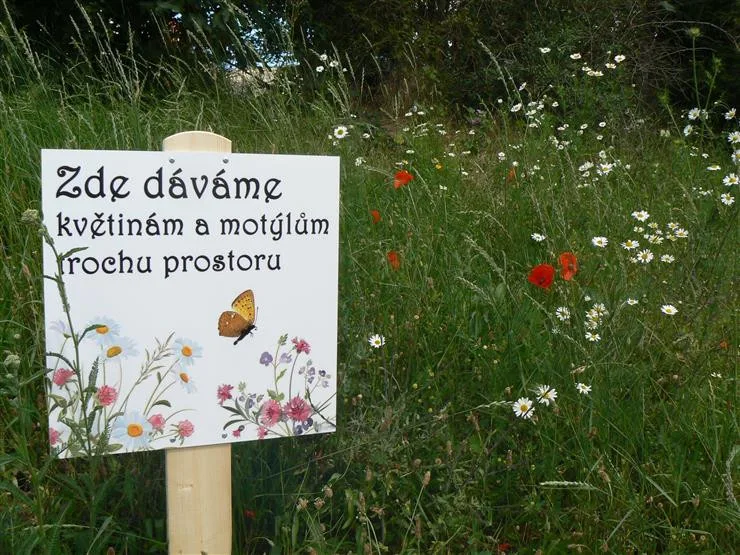 Tabulka