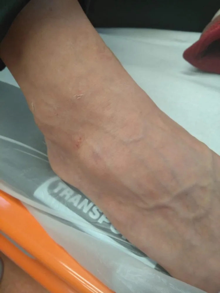 FOTO: Skupinka lidí kradla zboží v Dejvicích. Když je kolemjdoucí muž napomenul, zbili ho