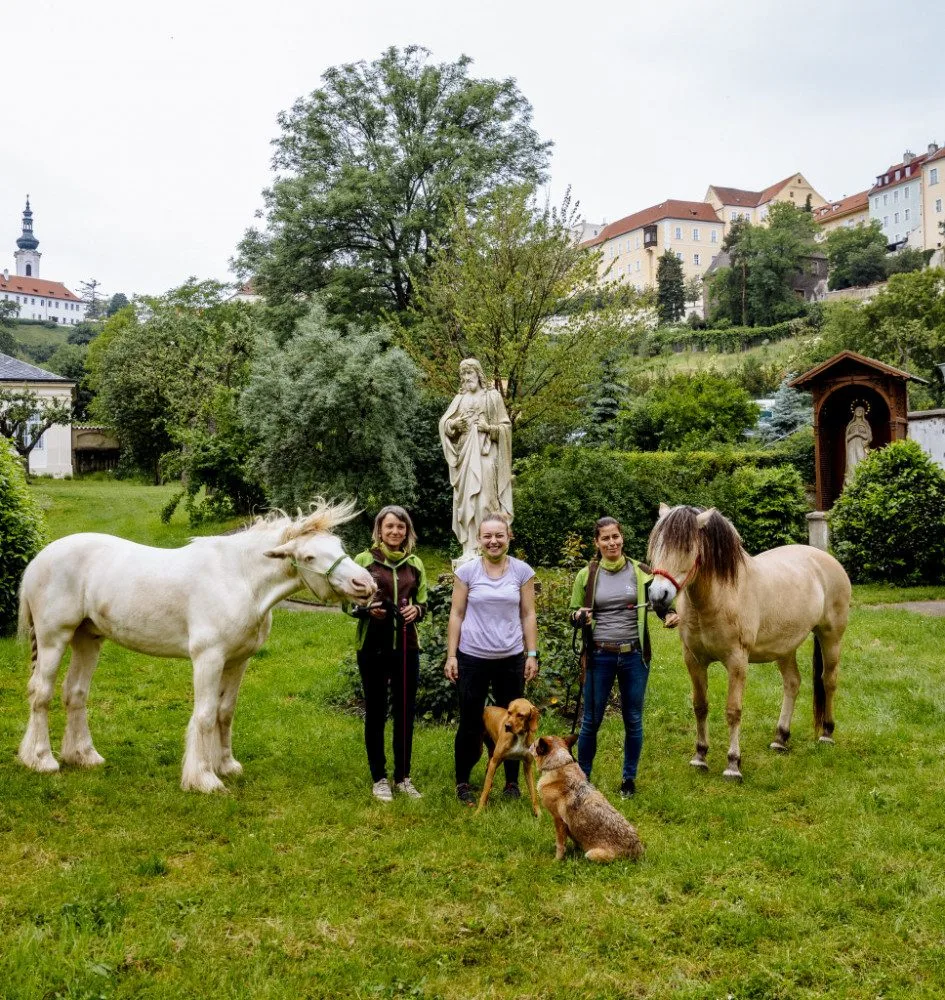 FOTO: Když zvířata pomáhají. V pražské nemocnici zavedli hipoterapii